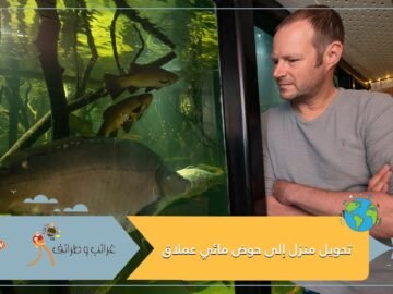 شاهد.. ينفق 25 ألف دولار لتحويل منزله إلى حوض مائي عملاق