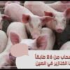 تعرف على ناطحة سحاب من 26 طابقاً يسكنها الخنازير في الصين
