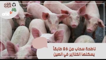 تعرف على ناطحة سحاب من 26 طابقاً يسكنها الخنازير في الصين