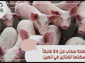 تعرف على ناطحة سحاب من 26 طابقاً يسكنها الخنازير في الصين