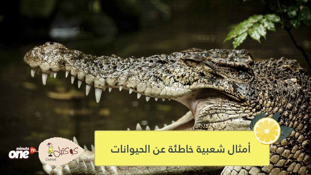 التحميل المسبق صورة