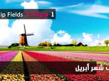 3 أماكن مذهلة تضعك بين جنة الله على أرضه بألوانها المذهلة ونيرانه المحرقة