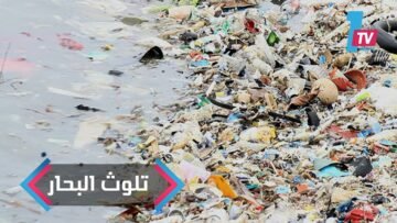 دراسة صادمة: 300 مليار قطعة بلاستيكية تسبح في المحيط المتجمد الشمالي