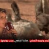بين التعليم وتربية الدجاج..هكذا تقضي حنان روتينها اليومي