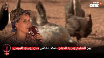بين التعليم وتربية الدجاج..هكذا تقضي حنان روتينها اليومي