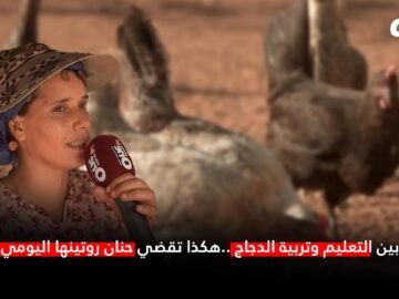 بين التعليم وتربية الدجاج..هكذا تقضي حنان روتينها اليومي
