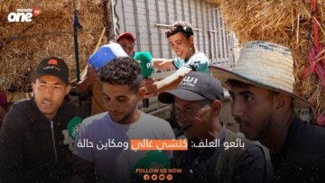 بائعو العلف كلشي غالي ومكاين حالة