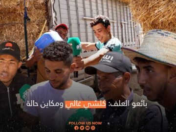 بائعو العلف كلشي غالي ومكاين حالة