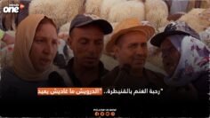 رحبة الغنم بالقنيطرة..الدرويش ماغاديش يعيد!