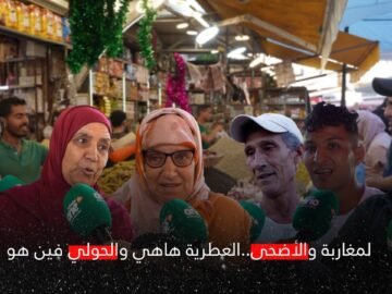 المغاربة والأضحى.. العطرية هاهي والحولي فين هو؟