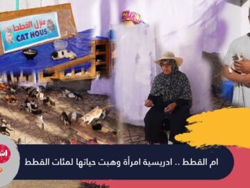 ام القطط..ادريسية امرأة وهبت حياتها لمئات القطط