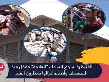 القنيطرة  سوق للسمك العلامة مقفل منذ السبعينات وأصحابه لازالوا ينتظرون الفرج