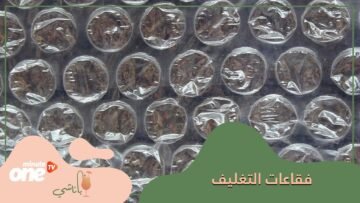 ماذا تعلرف عن فقاعات التغليف؟