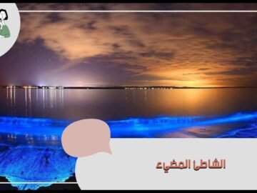 الشاطئ المضيء.. تعرف على أغرب شاطئ في العالم