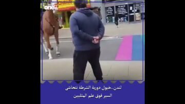 حتى الخيول تخشى المثلية!