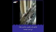 جزائري يقتل معتمرَين جزائريين طعنا إثر شجار داخل فندق