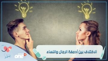 هذا ما توصلت إليه أبحاث علم الأعصاب بخصوص اختلافات أدمغة الرجال والنساء