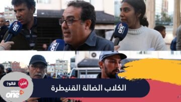 ظاهرة جمع الكلاب الضالة في مدينة القنيطرة.. بين مؤيد ومعارض وأنتم ما رأيكم؟