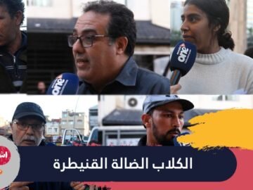 ظاهرة جمع الكلاب الضالة في مدينة القنيطرة.. بين مؤيد ومعارض وأنتم ما رأيكم؟