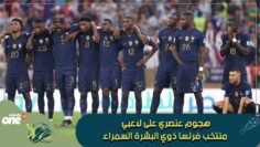 أعيدوهم إلى إفريقيا .. كان شعار بعض المشاركين في الحملة العنصرية