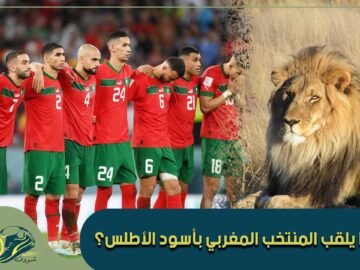 لماذا يلقب المنتخب المغربي بأسود الأطلس؟