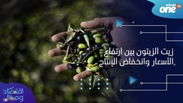 زيت الزيتون بين ارتفاع الأسعار وانخفاض الإنتاج