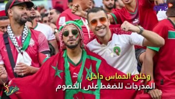 هتافات جمهور  الأسود تسبب الضجيج للديوك