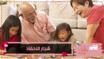هل يجب أن يسمح الآباء للأجداد بالتدخل عند شجار الأحفاد