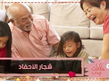 هل يجب أن يسمح الآباء للأجداد بالتدخل عند شجار الأحفاد