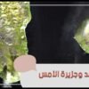 جزيرتان إذا انطلقت من إحداها اليوم سوف تصل بالأمس!