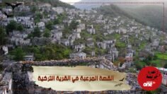 حادثة الأجداد السود في قرية داووتلو التركية