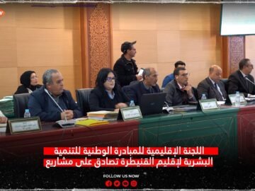 لجنة المبادرة الوطنية للتنمية البشرية لإقليم القنيطرة تصادق على مشاريع المقاولات الشبابية