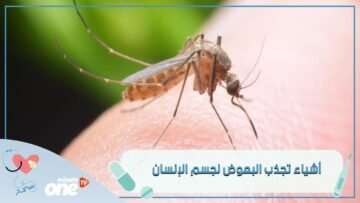 لماذا يلدغ البعوض فقط بعض الأشخاص؟