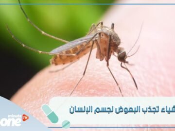 لماذا يلدغ البعوض فقط بعض الأشخاص؟