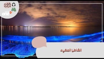 الشاطئ المضيء   تعرف على أغرب شاطئ في العالم
