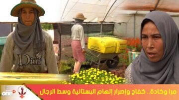 مرا وكادة كفاح وإصرار إلهام البستانية وسط الرجال