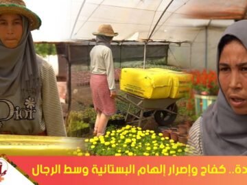 مرا وكادة   كفاح وإصرار إلهام البستانية وسط الرجال