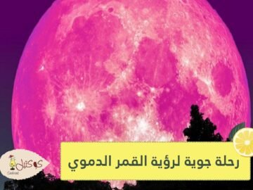 بسبب القمر الدموي رحلة جوية دون وجهة تبيع كل تذاكرها في دقيقتين ونصف