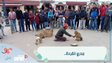 بعد فيوس كورونا.. جدري القردة هل يعيدنا إلى حجر صحي جديد؟