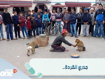 بعد فيوس كورونا.. جدري القردة هل يعيدنا إلى حجر صحي جديد؟