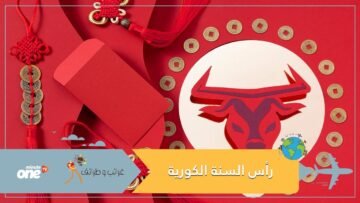 من غرائب كوريا الجنوبية   الاحتفال بسنة الثور