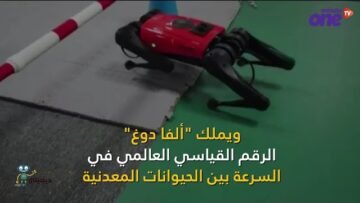 ألفا دوغ كلب سريع لا ينبح ولا يعض