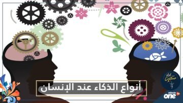 لا علاقة للأمر بالرياضيات ولا بالتحصيل العلمي   للذكاء أنواع مختلفة
