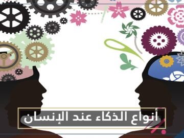 لا علاقة للأمر بالرياضيات ولا بالتحصيل العلمي   للذكاء أنواع مختلفة