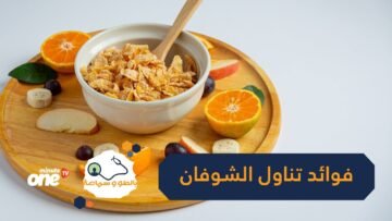 فوائد الشوفان تجعله من أفضل الخيارات لخسارة الوزن وشحن الطاقة