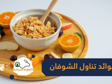 فوائد الشوفان تجعله من أفضل الخيارات لخسارة الوزن وشحن الطاقة