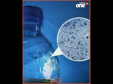 [ID: Ab1C7IQn8cE] Youtube Automatic