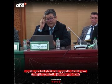 [ID: oe7LRucHSME] Youtube Automatic