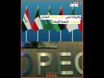 [ID: oECw4oX0EEE] Youtube Automatic