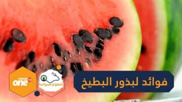 10 فوائد لبذور البطيخ تعرف عليها
